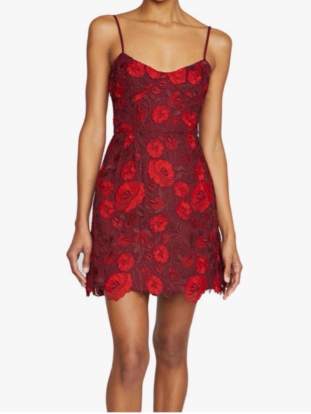 Monique Lhuillier Arielle Floral Embroidery Minidress size 2